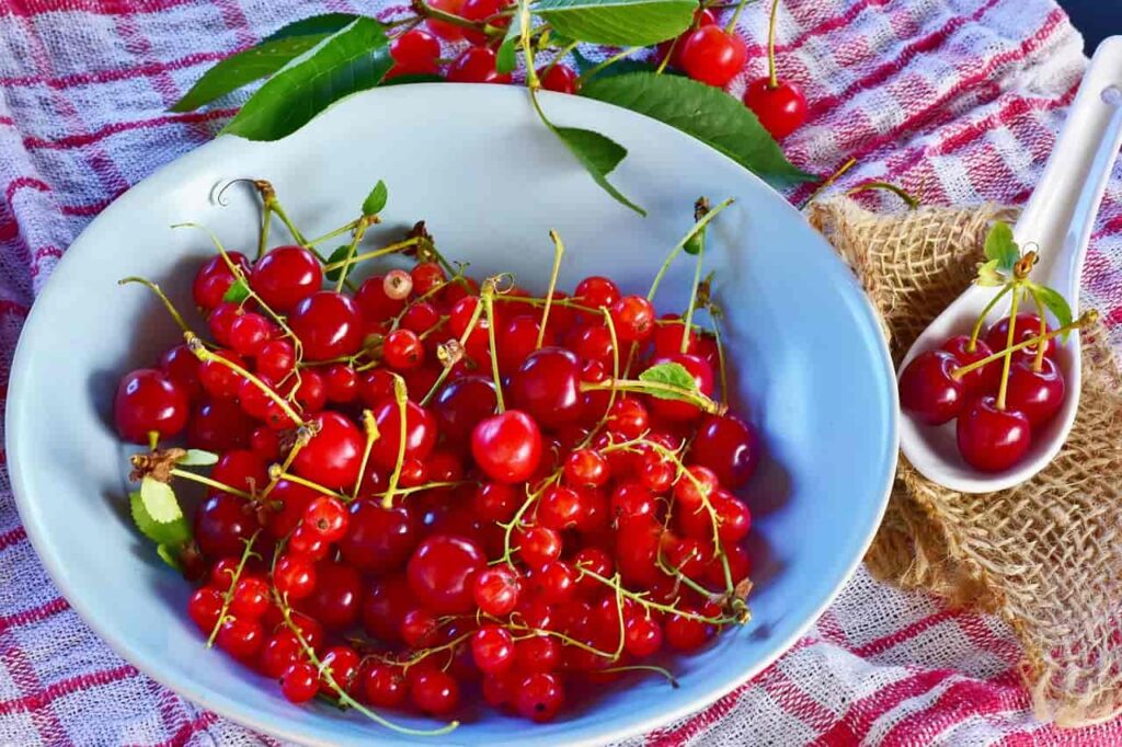 Can i Eat Cherry during Pregnancy?
