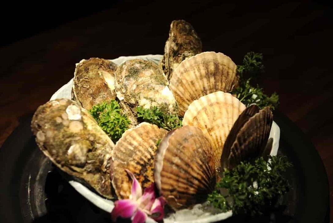 Can you eat Raw Scallops After Pregnancy?