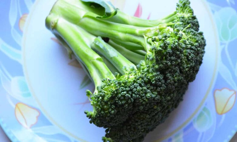 Is it Safe to Eat Broccoli in pregnancy?