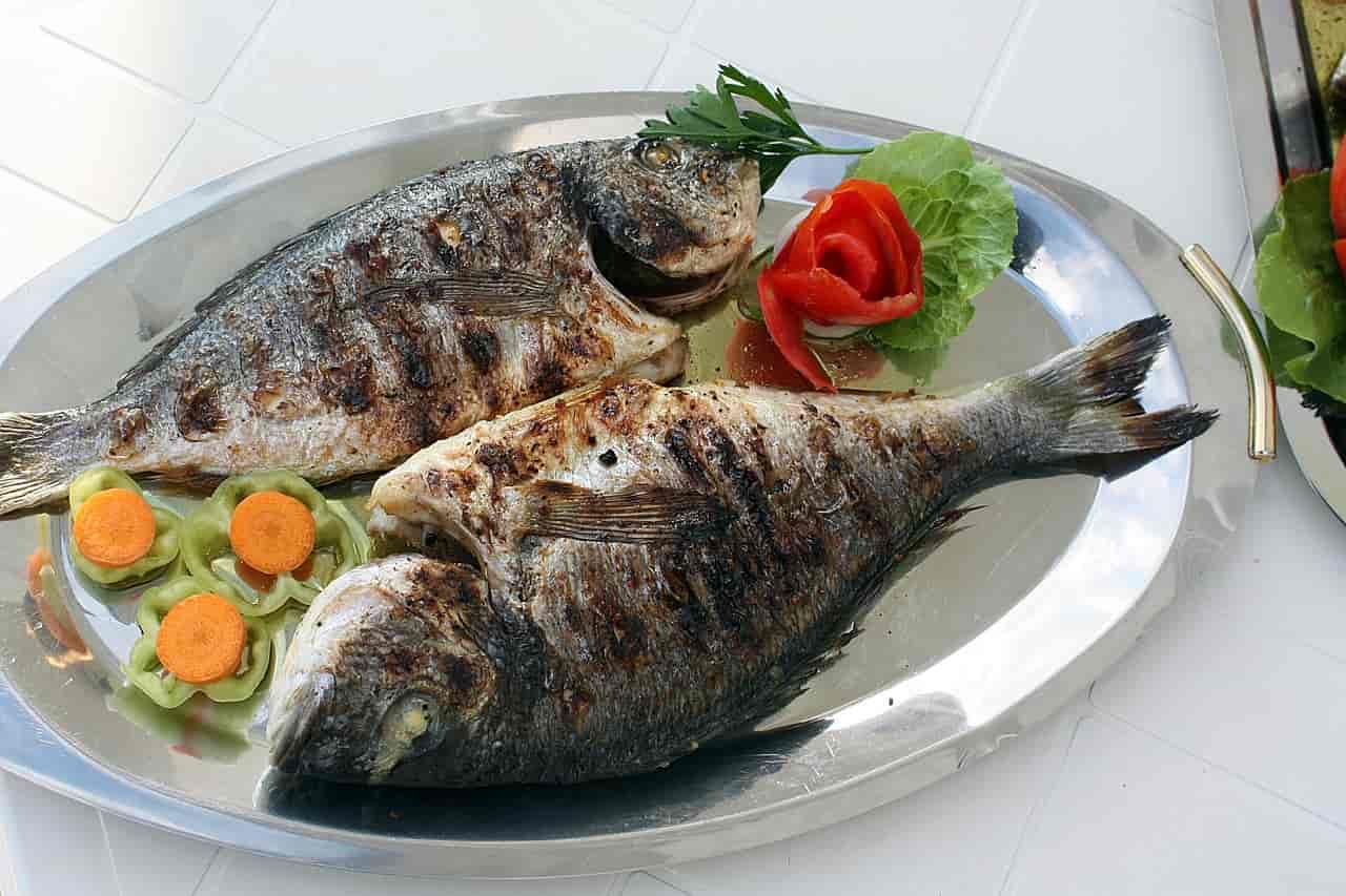 can-i-eat-tilapia-during-pregnancy-is-it-a-safe-fish