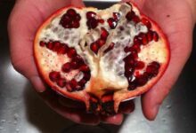 Pomegranate to Eat After an Abortion for Fast Recovery: Pomegranate After an Abortion