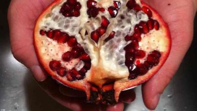 Pomegranate to Eat After an Abortion for Fast Recovery: Pomegranate After an Abortion