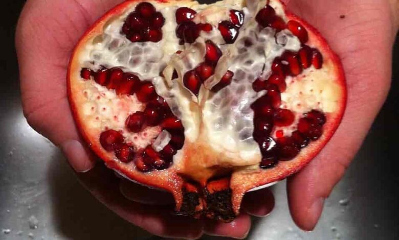 Pomegranate to Eat After an Abortion for Fast Recovery: Pomegranate After an Abortion