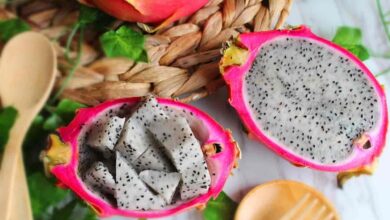 Can i Eat Dragon Fruit During Pregnancy? Pitaya