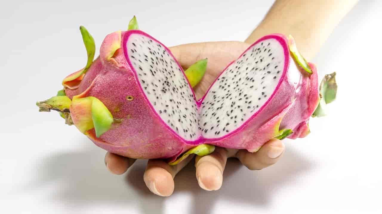 Dragon Fruit During Pregnancy Pros And Cons 9 Best Ideas