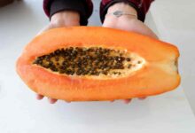 Papaya during Pregnancy: Can Papaya cause miscarriage in early pregnancy?