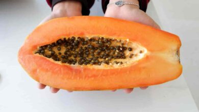 Papaya during Pregnancy: Can Papaya cause miscarriage in early pregnancy?