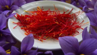 Is It Safe Saffron During Pregnancy? Safety, Benefits and More