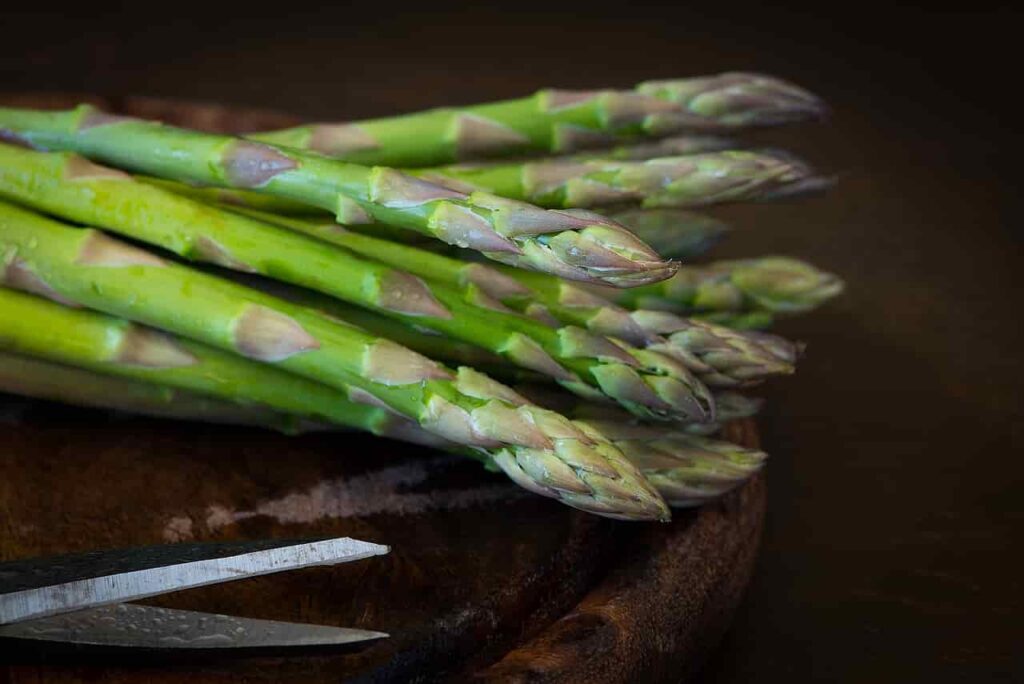 What is Asparagus?