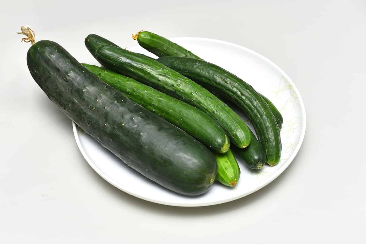 Eating Cucumbers During Pregnancy Top 10 Benefits And More 3240