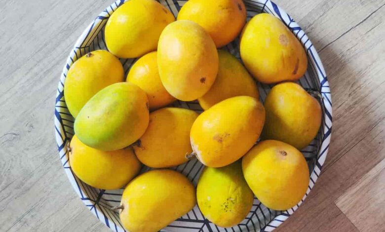 Is It Safe To Eat Mango In Pregnancy?