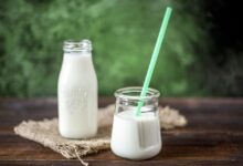 Which is the Best Milk During Pregnancy?