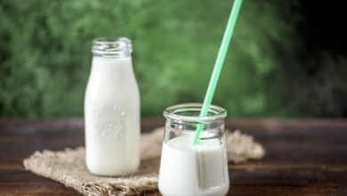 Which is the Best Milk During Pregnancy?