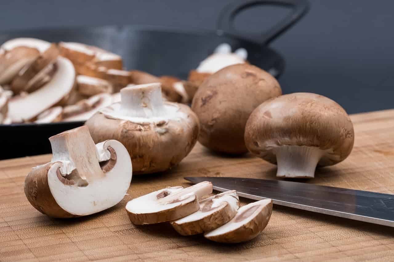 Can You Eat Mushrooms While Pregnant? Is It Safe Or Not?