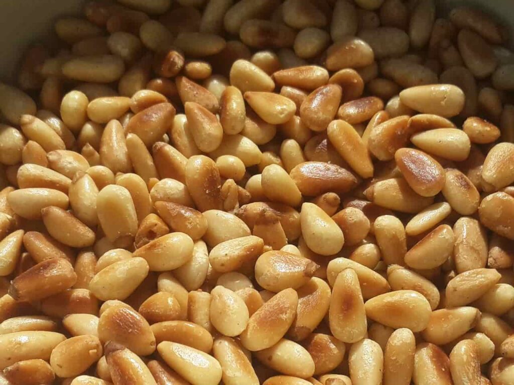 What are Pine Nuts?