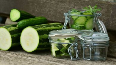 Is It Safe To Eat Zucchini During Pregnancy? Courgette in Pregnancy