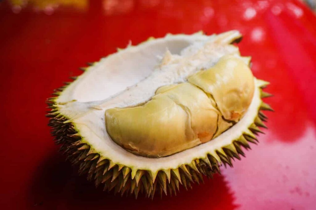 What is Durian