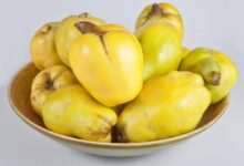 Quince in Pregnancy: 8 Benefits & Safety Tips | Cydonia Oblonga