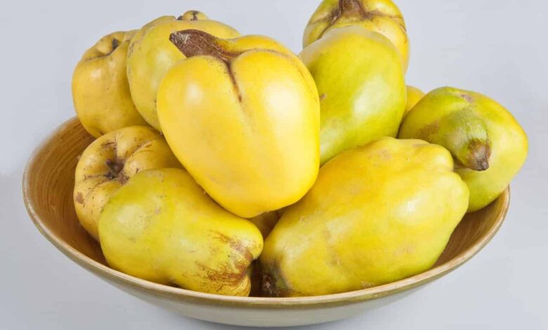 Quince in Pregnancy: 8 Benefits & Safety Tips | Cydonia Oblonga