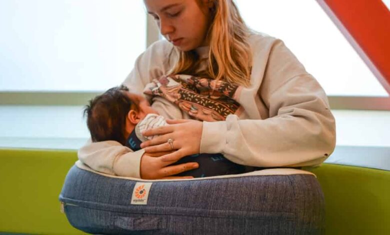 Nursing Pillow for Breastfeeding Bottle Feeding, Enhanced Posture Support, Double Straps