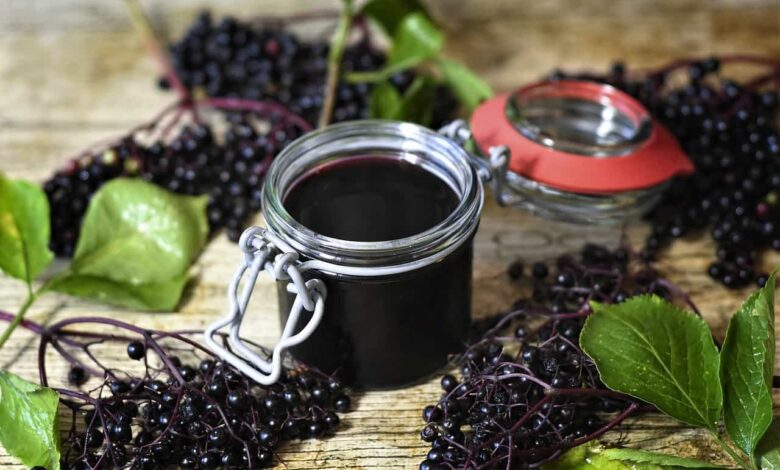 Boosting Breastfeeding Wellness The Safety of Elderberry and 5 Vital Tips